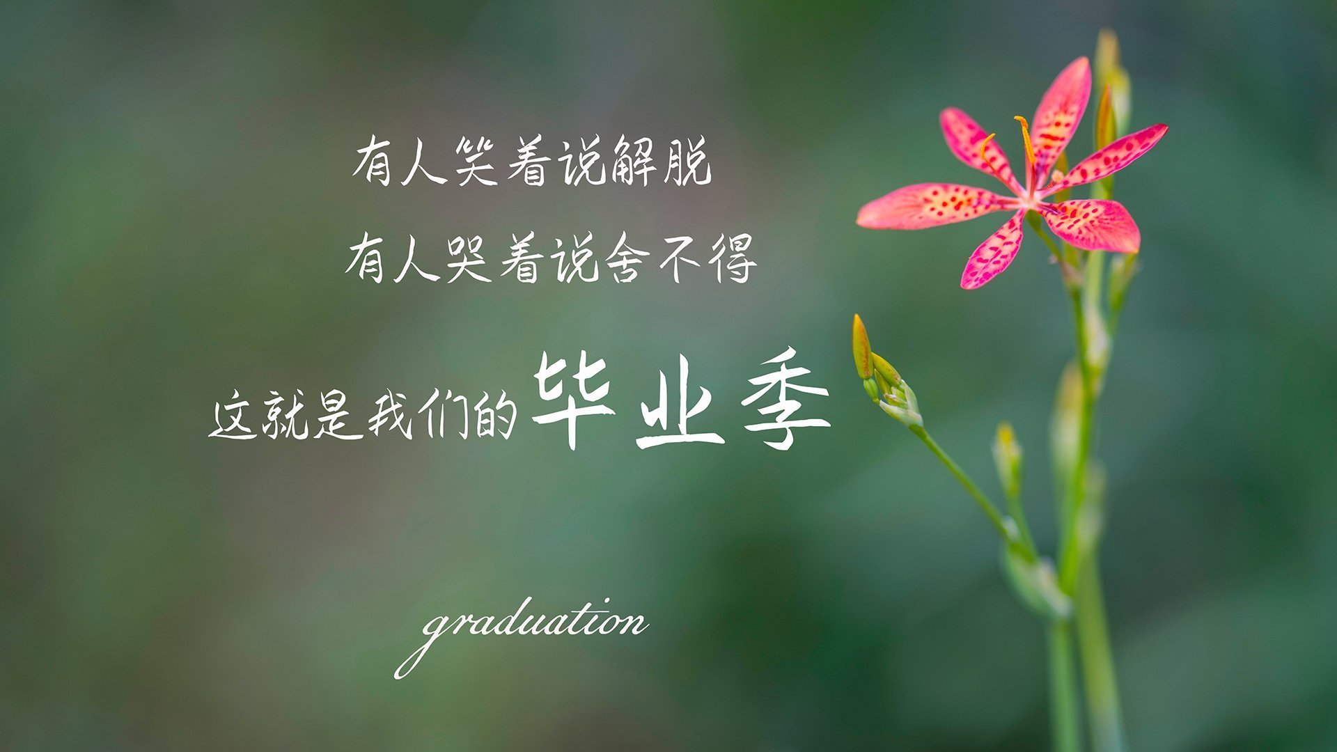 “足球场地建设标准提升，保护运动员安全”，国家足球场地建设标准