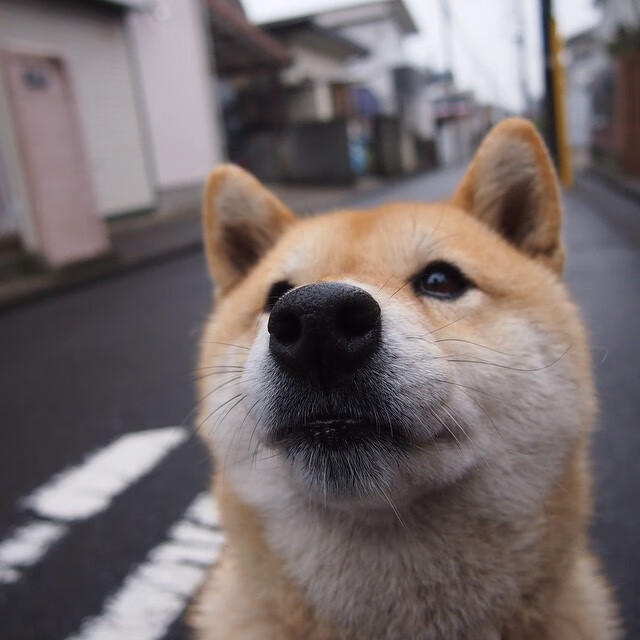 爱游戏下载-_互动体育夜市：运动娱乐新地标_，互动体育小游戏
