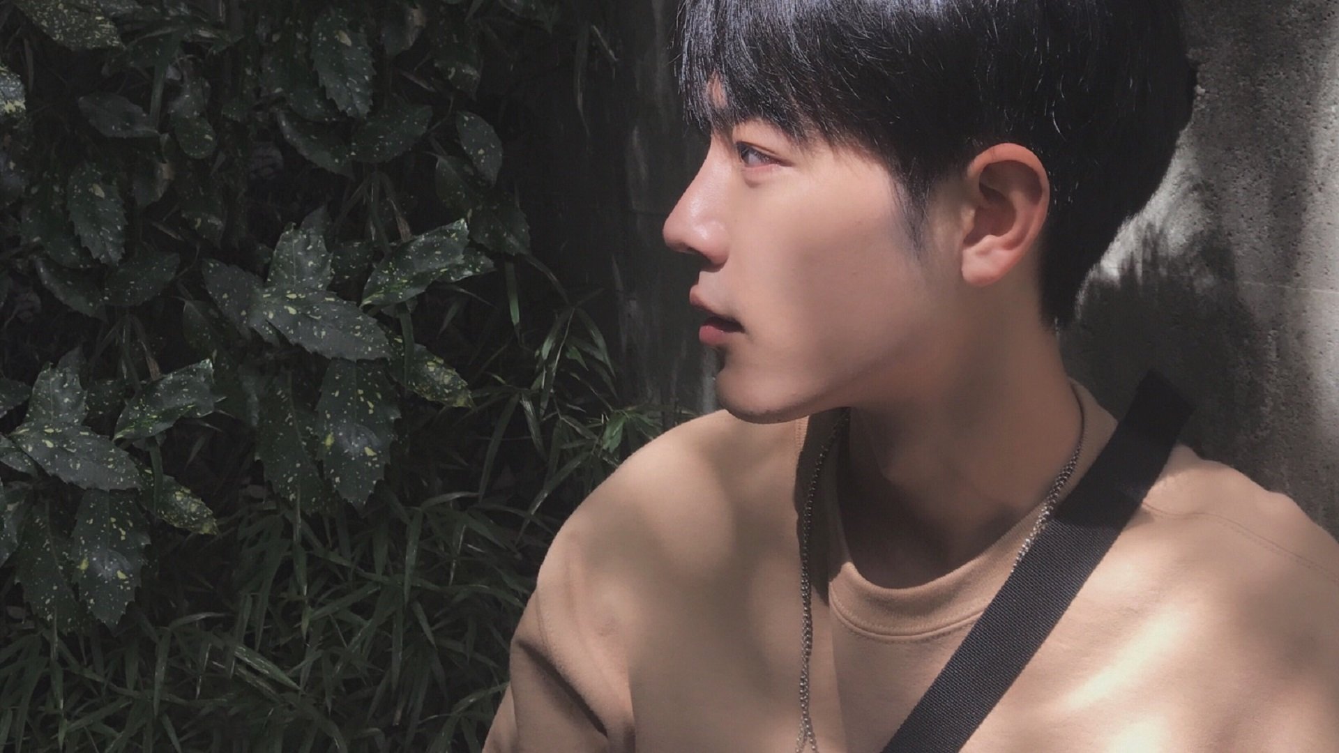 _赛事现场:粉丝疯狂欢呼,场面炸裂_,粉丝有多疯狂