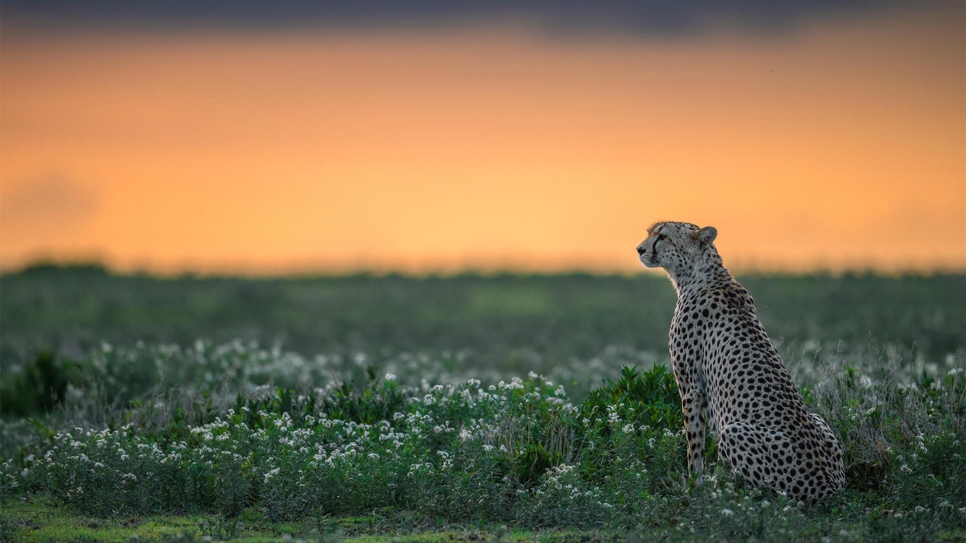 AYX GAME-中国马术少年赴欧集训，备战青奥赛场，2021中国马术青少年u系列赛